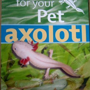 Caring For Your Pet Axolotl