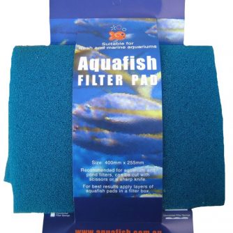 Filter-Sponge-on-Card