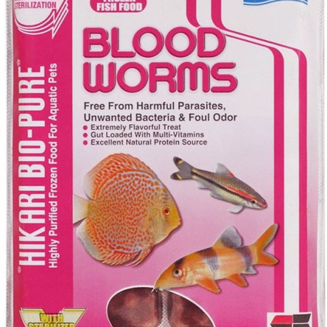 Hikari Bloodworm 100g 12Pack Aquafish Australia